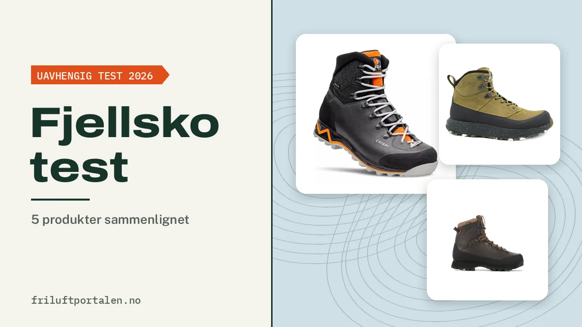 Fjellsko test